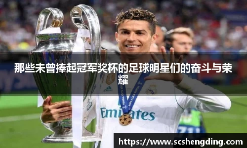 那些未曾捧起冠军奖杯的足球明星们的奋斗与荣耀